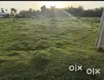 Land available for sale in somavarapupadu eluru.