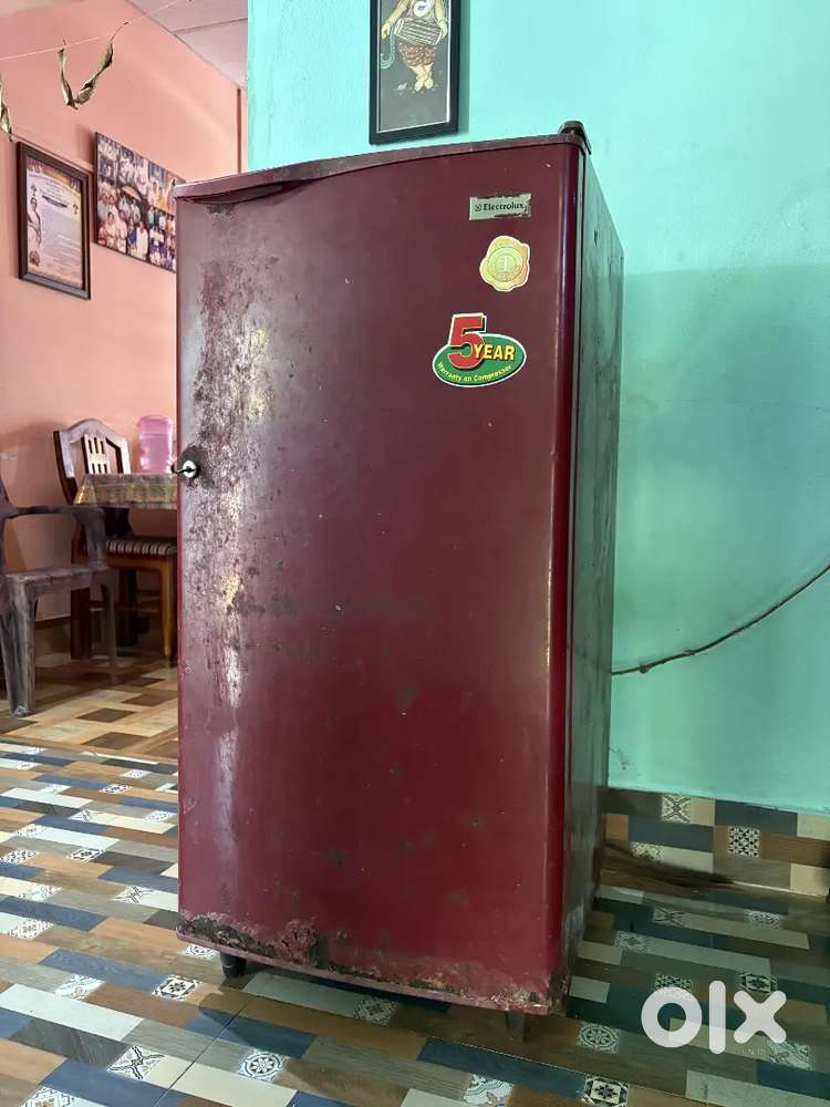 Electrolux Fridge
