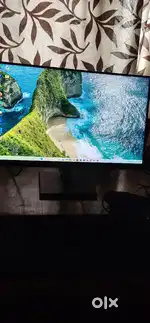HP monitor