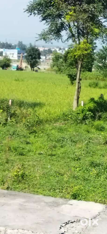 Invest ment and residential property