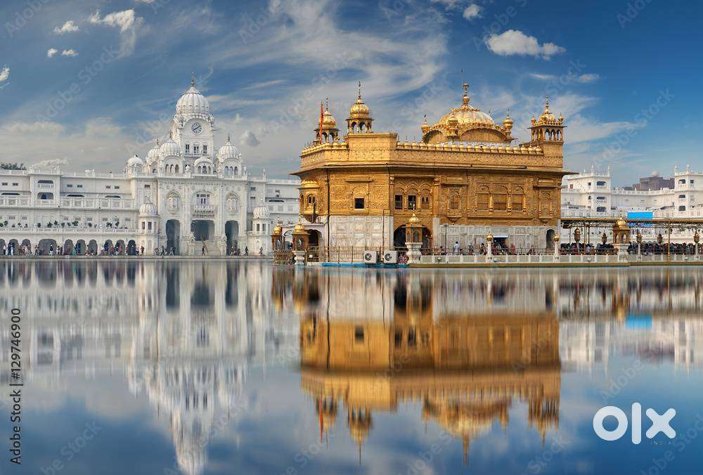 Male Driver Required