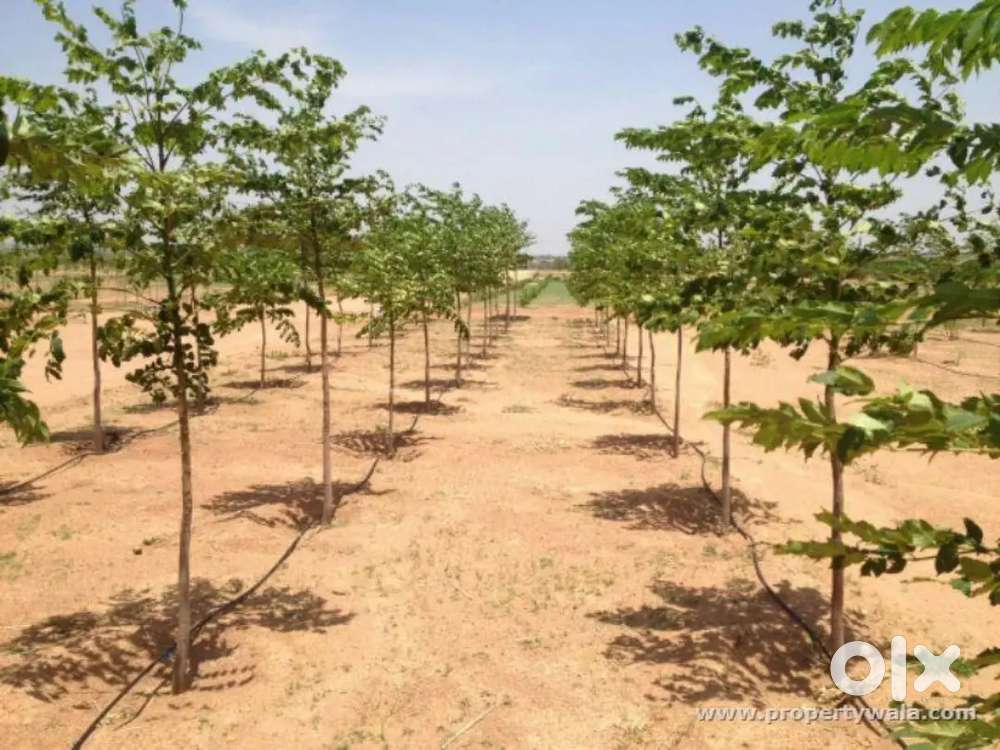 One acre agriculture lands for sale in kadapa