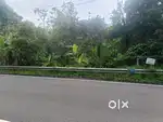 Plot for sale ,42 cent , per cent 1 lakh and prize is negotiable