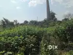 Warehouse /land for rent
