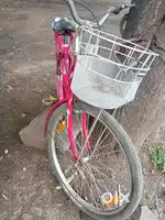 Hero syder ladies cycle