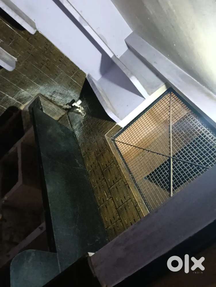 Rent house