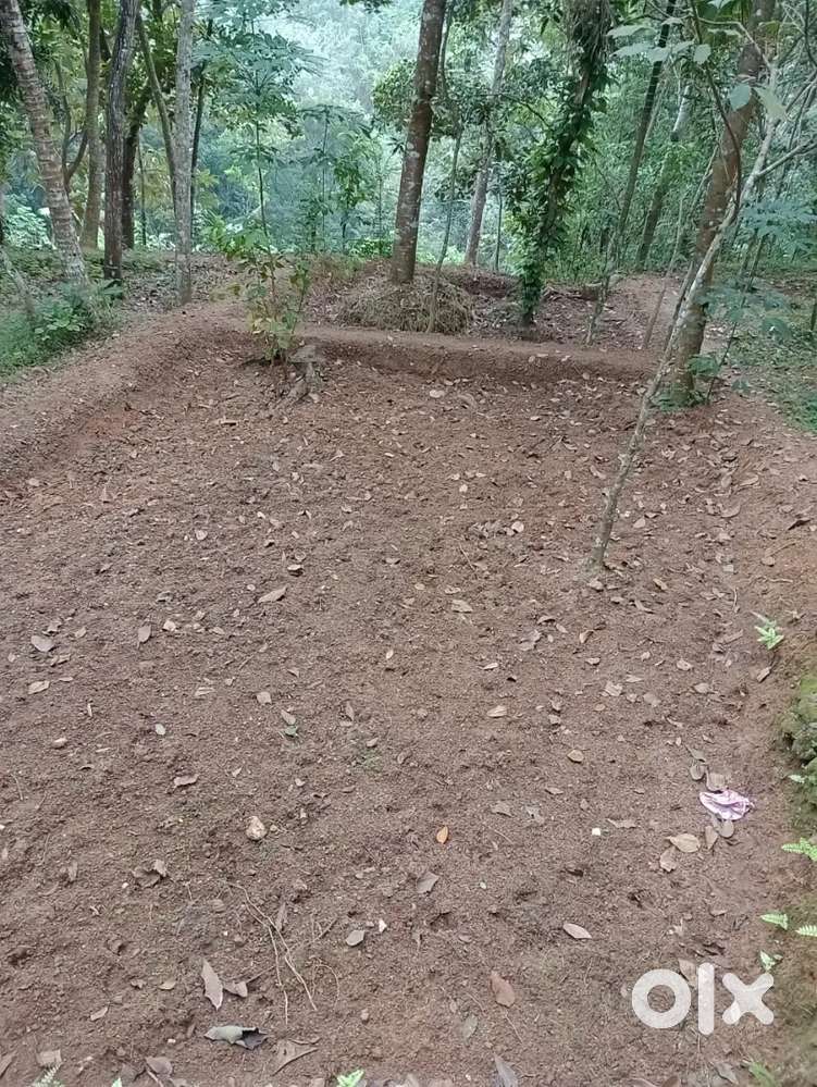 I want to sale my property in ayilum.