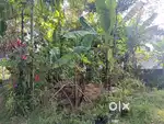 10 cent plot