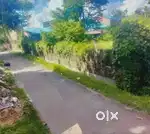 চাকদহ তে জমি কিনতে হলে যোগাযোগ করুন-