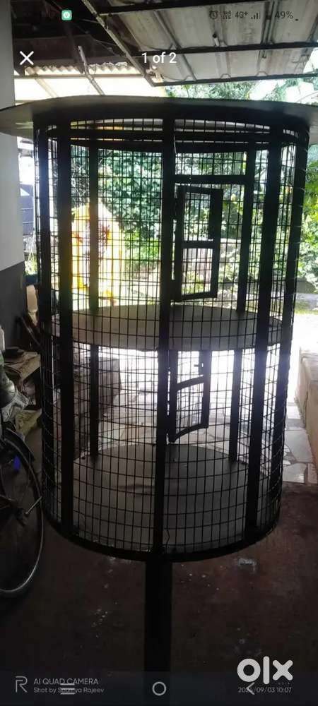 Birds cage
