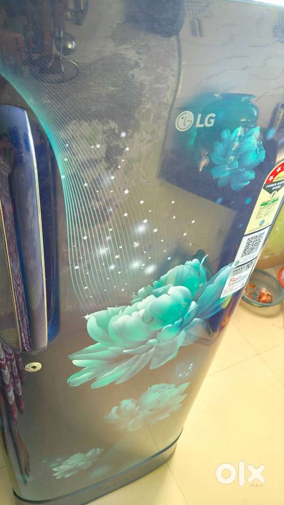 LG, model year-GL-D201ABCU/2025,TYPE-direct cool, total volume -185lit