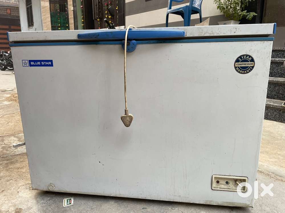 Bule star D Freezer 300 ltr