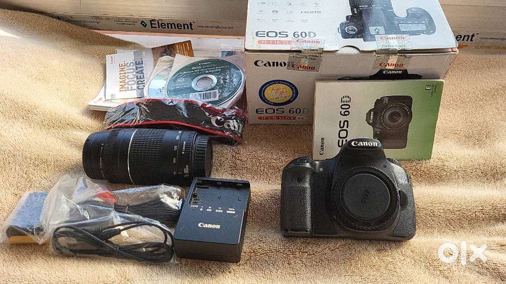 Canon EOS 60D with 75-300 lens