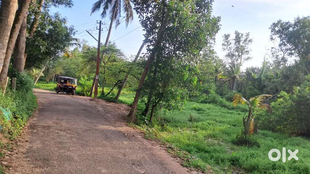 Vizhinjam near 7 km 170 cent/1.5 lakh