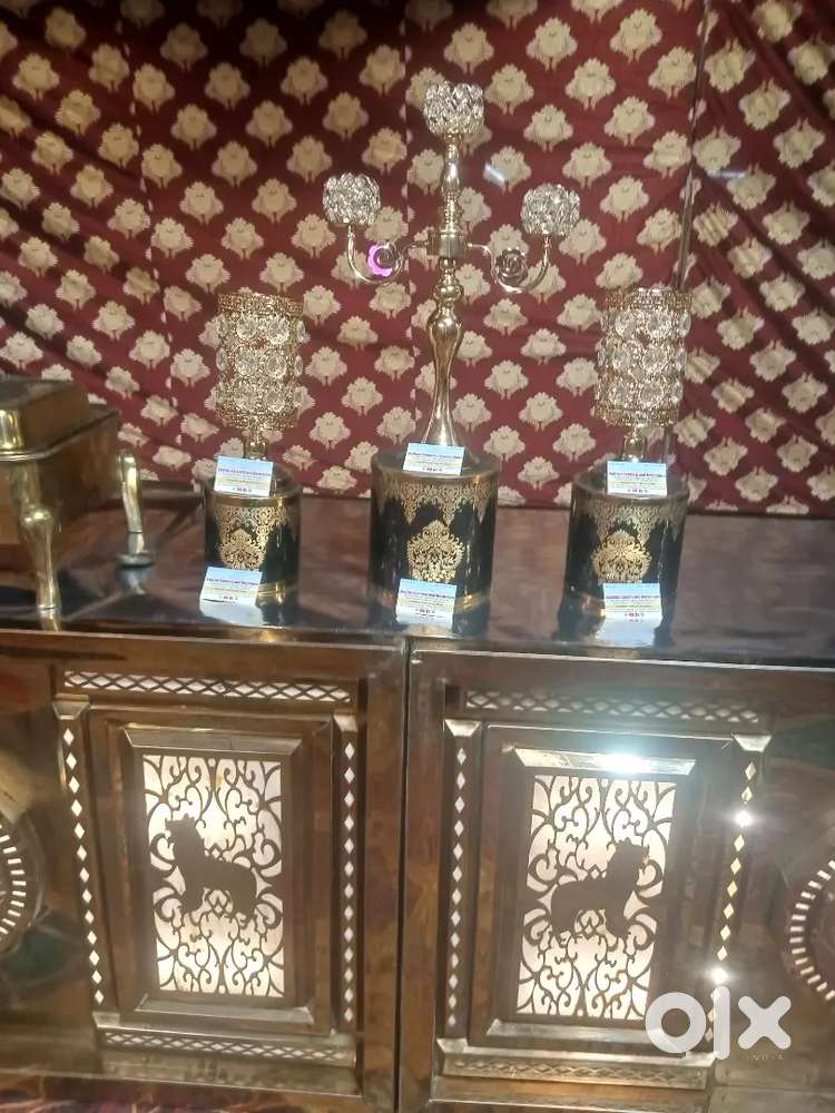 Event menejment only girl