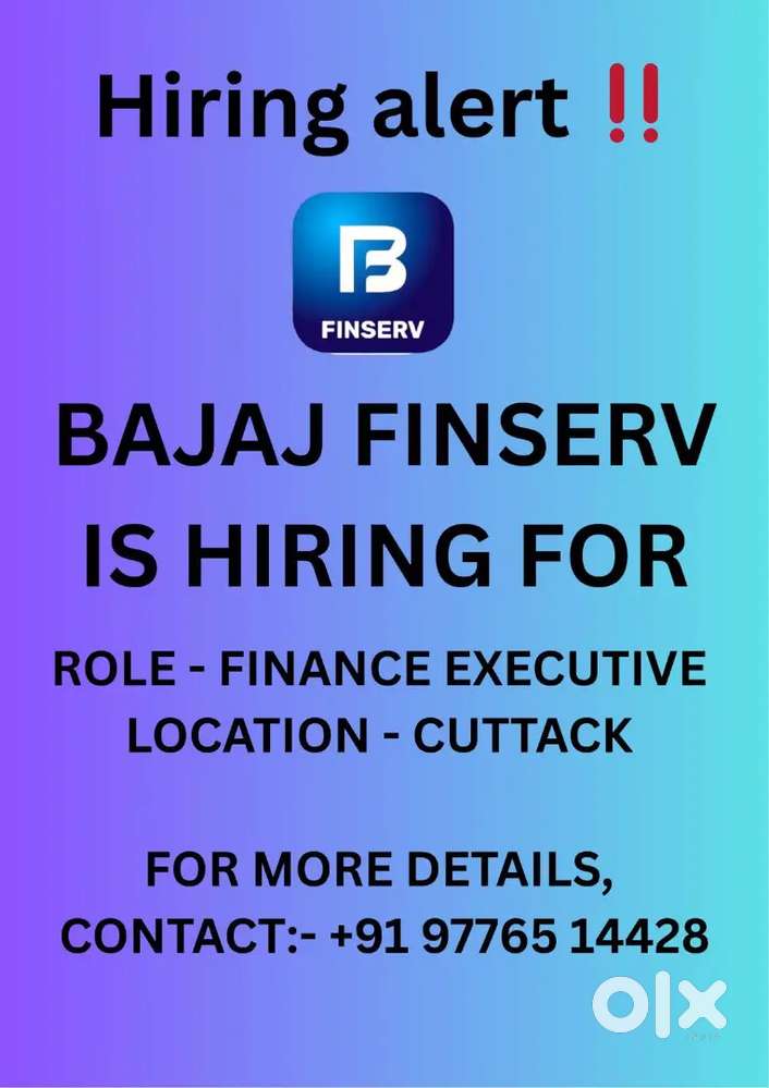 SALES EXECUTIVE