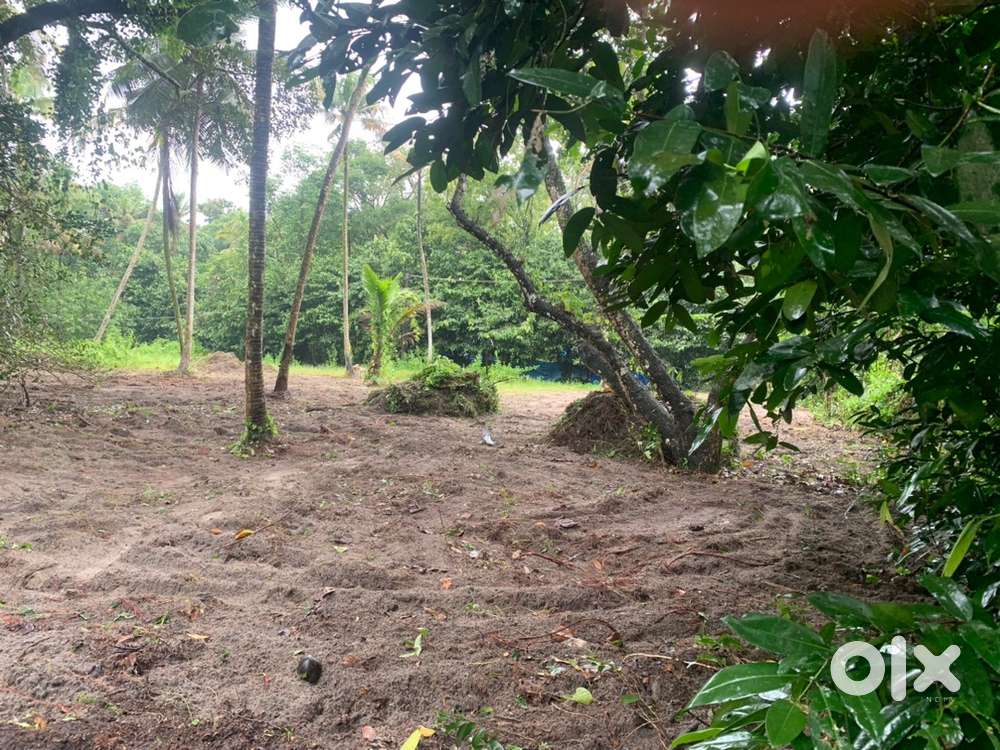 Perumpalam plot for sale
