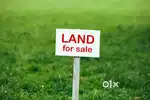 **Land for Sale** விருதுநகரில் 13 குழி நிலம் உள்ளது. 2000 square feet.