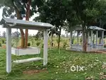 hort + Long-Term Profits  White Sandalwood + 15+ Amenities!