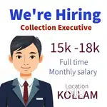 Reputed Bank Collection Executives