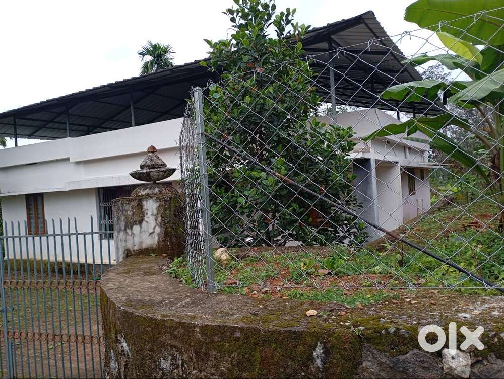 4bed house and land of 70  cent at kaippattoor