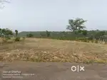 Plot for sale