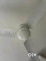 Ceiling fan