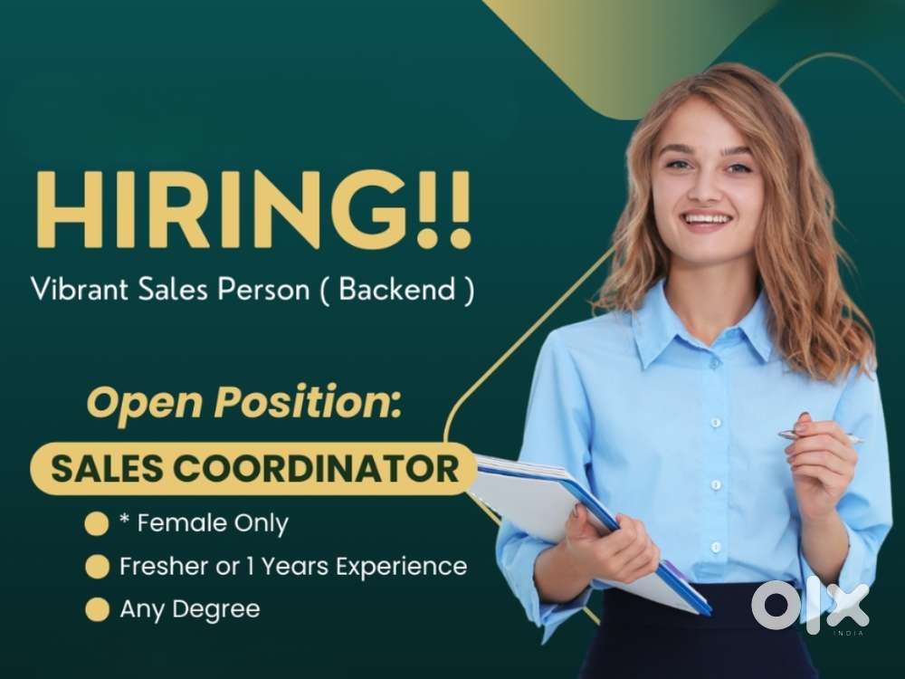 Job for Backend work and Data Feeding