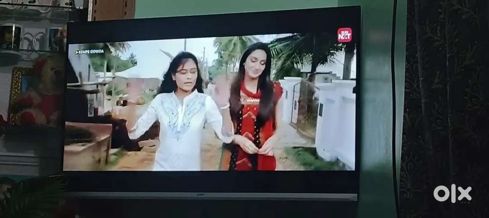 Airnet 4 month old 42 inch