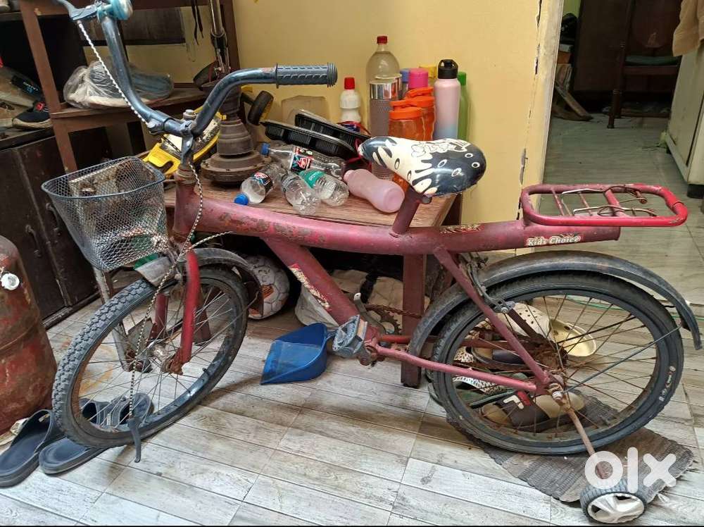 Two wheeler bicycle