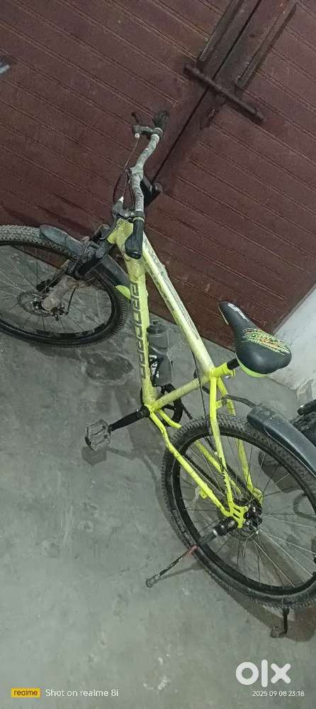 Streethawk sport bicycle in light parrot colour...