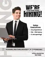Sales Executive
