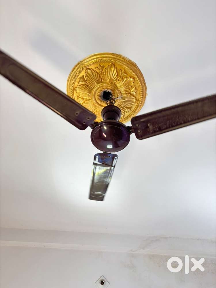 1 ceiling 1 double Chauki 1 table for sell