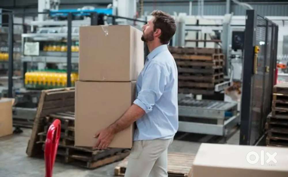 Wanted to picking packing boys in Guntur