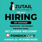Pet groomer