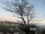 1 BHK COTTAGES/ VACATION HOMES  FOR SALE IN RESORT NEAR MUSSOORIE