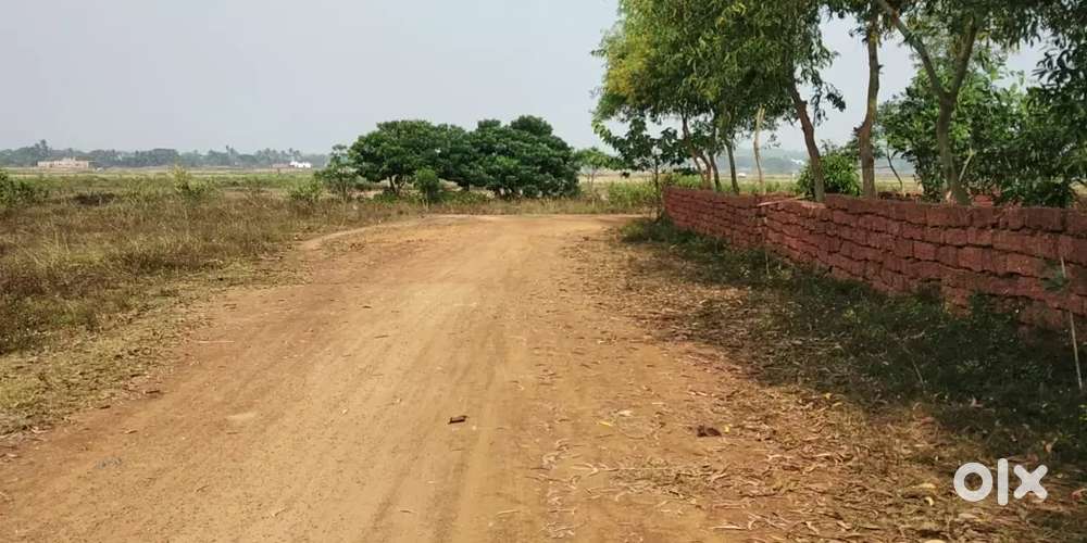 Plots available near IIT Arugul, Jatani