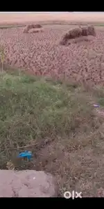 Land for sale Back side of Randia Feccor