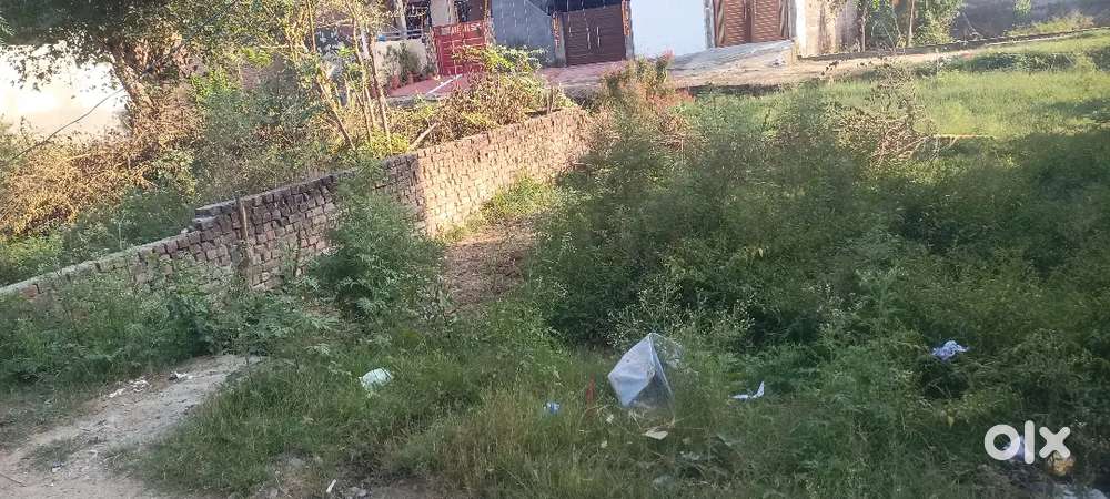 Urgent sale for 5 marla plot in gurdaspur behind babowal in Litraan