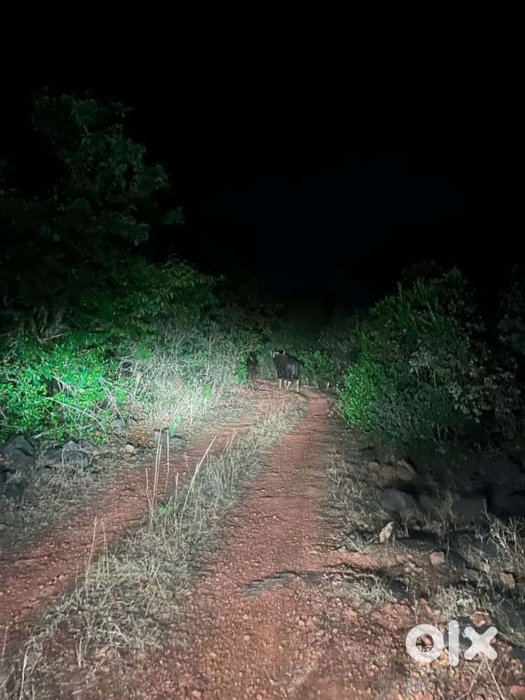 8 एकर जमीन देणे आहे