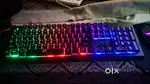 EvoFox Warhammer SEMI-Mechanical gaming keyboard