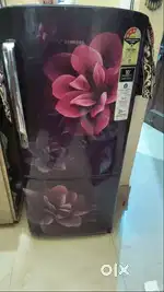 Samsung freeze 2019 model