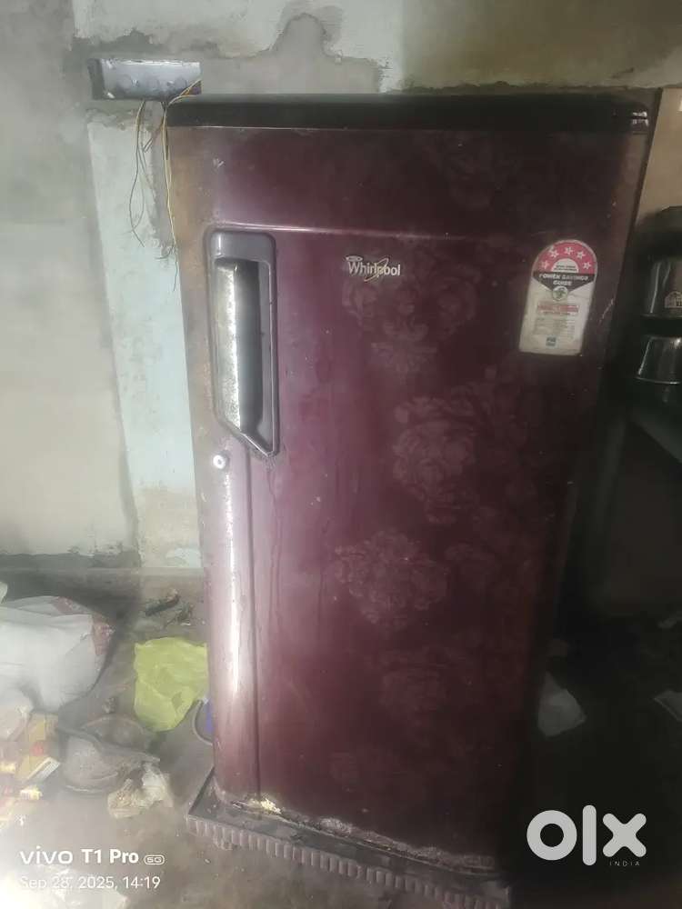സിംഗിൾ ഡോർ ഫ്രിഡ്ജ്