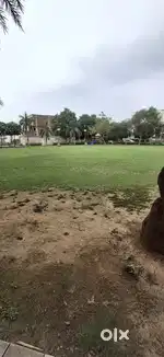 350 sqyd plot for sale in Dlf New Chandigarh