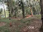 36 Cent Plot for Sale in Atholi