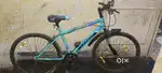 Leader scout cycle
