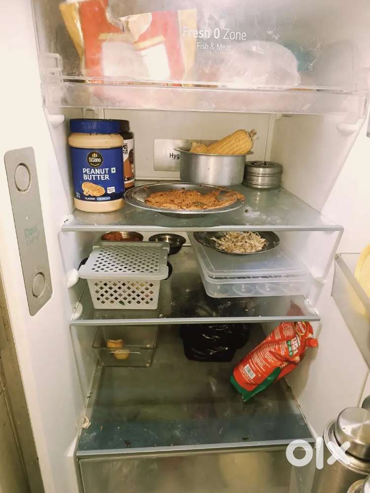 Lg smart fridge