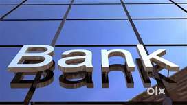 Bank job, 10th, 12th, diploma, graduation, post graduation, ITI, BCA