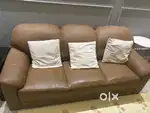 5 seater Sofa Brown color