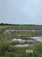 1 acre land beside nh26 jonnavalasa rakudu road